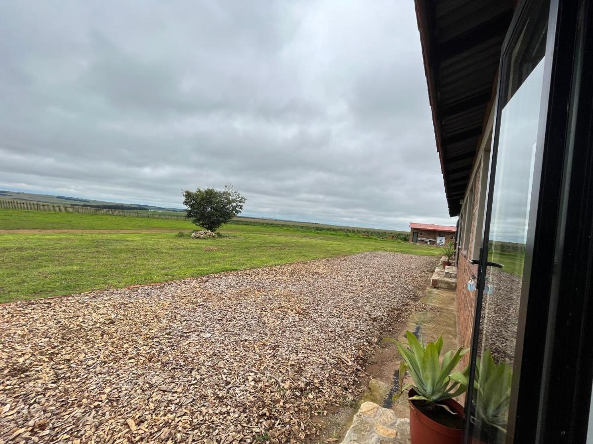 Dewdrop Farm Stay Ermelo Bagian luar foto