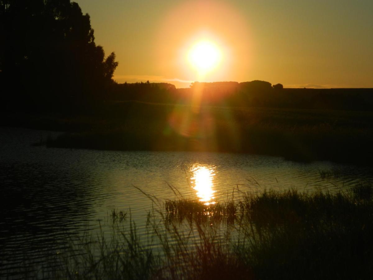 Dewdrop Farm Stay Ermelo Bagian luar foto